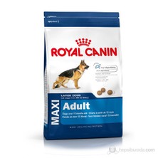 Royal Canin Maxi Adult Büyük Irk Yetişkin Kuru Köpek Maması 15 Kg + Petzoom Köpek Tarağı Hediyeli!