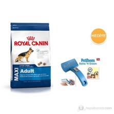 Royal Canin Maxi Adult Büyük Irk Yetişkin Kuru Köpek Maması 15 Kg + Petzoom Köpek Tarağı Hediyeli!