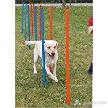 Trixie Köpek Agility Eğitim Direkleri,12ad,115×ø3cm.