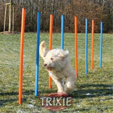 Trixie Köpek Agility Eğitim Direkleri,12ad,115×ø3cm.