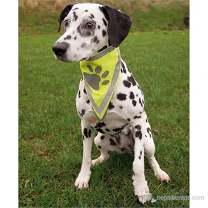 Köpek Bandanası 42-60cm (LXL)