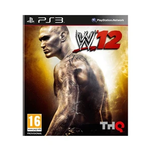 W'12 Ps3