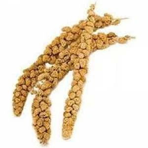Doğal Darı Dalı 150 Gr