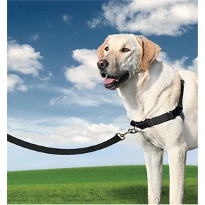 Easy Walk™ Harness - Large Siyah  Köpek Tasması