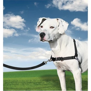 Easy Walk™ Harness - Medium Siyah   Köpek Tasması
