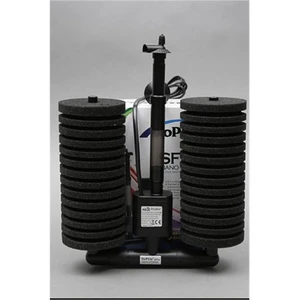 Sfp34 Dophin Motorlu Çiftli Pipo