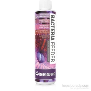 Reeflowers Bakteri Kültürü 85 Ml