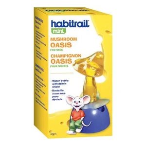 Mantar Şekilli Su Kabı