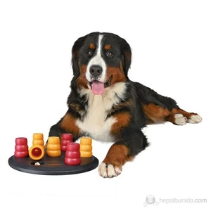 Solitaire Köpek zeka eğitim oyuncağı, 29cm