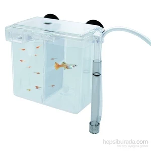 Tom 1453 İnternal Breeding Box + 2 adet Rotifish Starter Feed Yavru Balık Yemi 13Gr. Hediye!