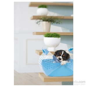 Imac Baggy Kedi Köpek   Küçük Boy Taşıma Çantası   36*25*29