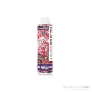 Reeflowers   Coralline Algae Accelerator - Quick Response 500 ml