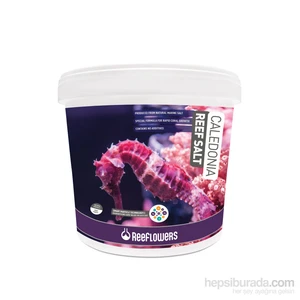 Reeflowers Caledonia Reef Salt 22,5 Kg