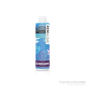 Reeflowers   Rem Algea 500 ml