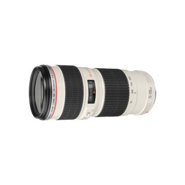 キャノン CANON EF 70-200mm F4 L USM #557 EF70-200mm F4L USM - キヤノンカメラミュージアム