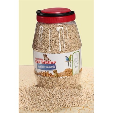 Sara Paxton bilan porno video