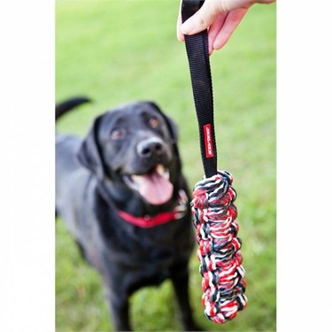 Ezydog Beaver Tails Atma Ve Cekme Kopek Oyuncagi Small Fiyati