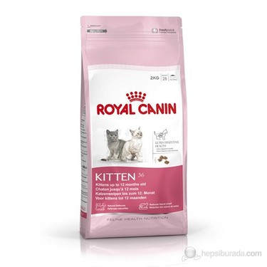 Royal Canin British Shorthair Yavru Kedi Mamasi 2 Kg Fiyati
