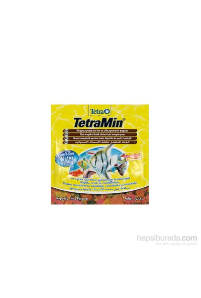 Tetra Tetramin Flakes Balık Yemi 12 Gr