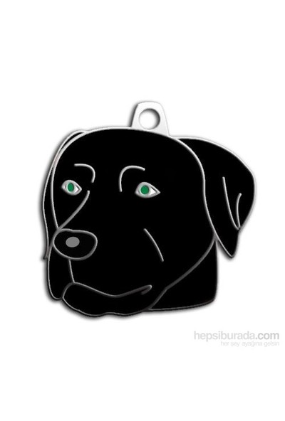 Dalis Pet Tag - Black Labrador Köpek Künyesi (İsimlik)