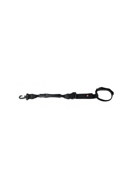 MSTRAP-2