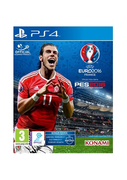 Uefa Euro 2016 France PS4