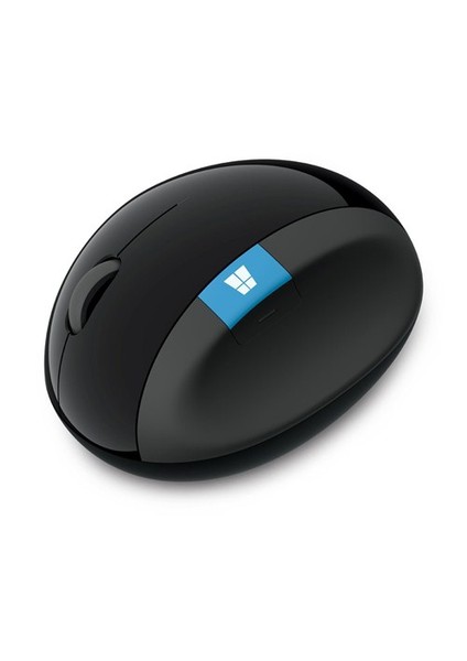 Sculpt Ergonomic Desktop Kablosuz Siyah Klavye Mouse Set (L5V-00016)