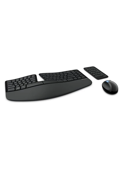 Sculpt Ergonomic Desktop Kablosuz Siyah Klavye Mouse Set (L5V-00016)