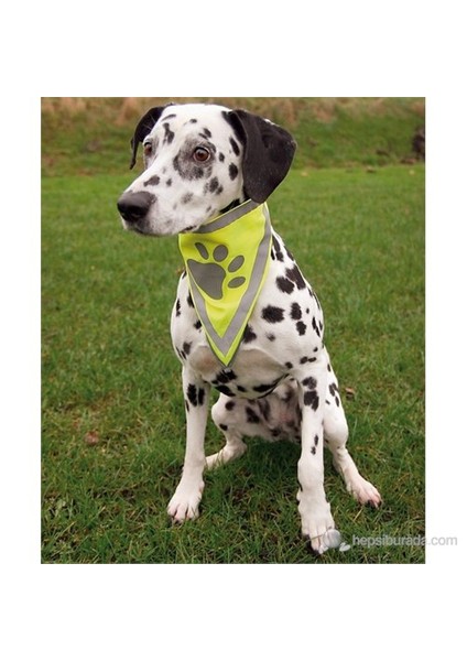 Köpek Bandanası 42-60cm (LXL)