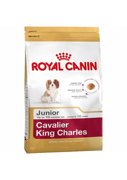Cavalier King Charles Junior Yavru köpek Maması 1,5 Kg