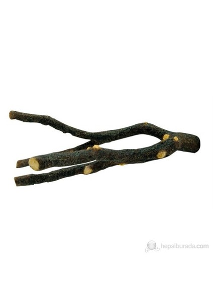 Ağaç Dalı Şekilli Tünek - (22 Cm)
