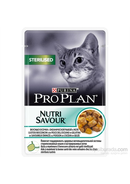 Okyanus Balıklı Kısırlaştırılmış Kedi Konservesi 85gr