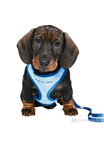 Puppy Dog Göğüs Tasma Seti ve Gezdirme Kayışı 23-34cm/2m/10mm