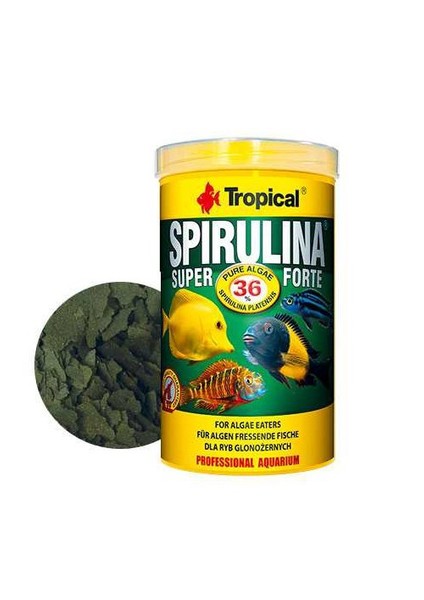 Süper Spirulina Forte Balık Pul Yemi 250 Ml