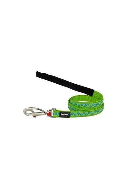 Reddingo Lime Üzerine Turkuaz Yıldızlı Uzatma Köpek Tasması 20 Mm