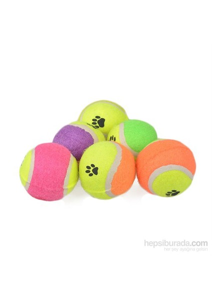 Köpek Oyun Tenis Topu Patili Mini 2 Li