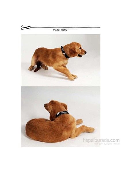 Ergocomfort Köpek Boyun Tasması L Kırmızı