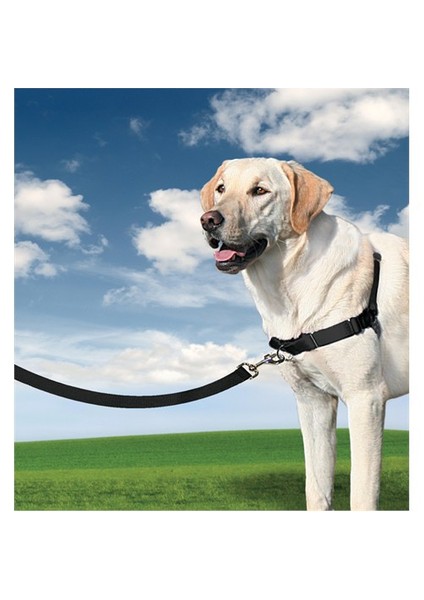 ™ Harness - Large Siyah Köpek Tasması