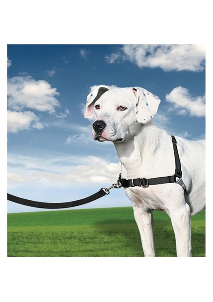 ™ Harness - Medium Siyah Köpek Tasması