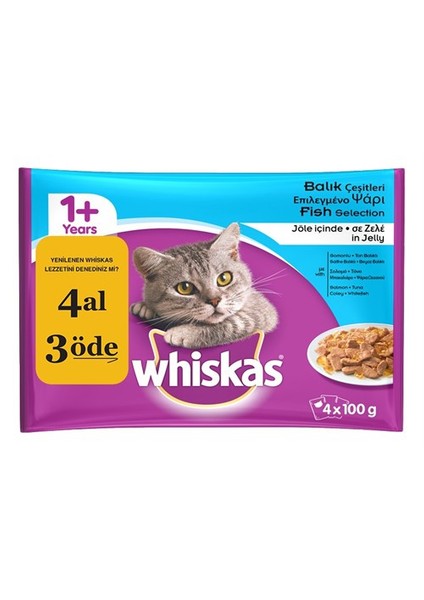 kedi yaş  pouch Multipack Balık 100 Gr 4 Al 3 Öde