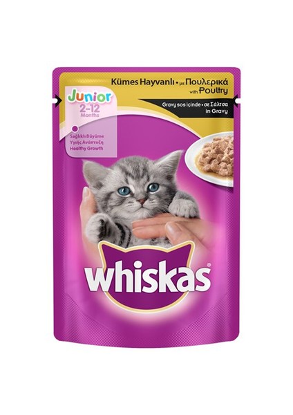 Pouch Kümes Hayvanlı Yavru Kedi Yaş Maması 100 Gr