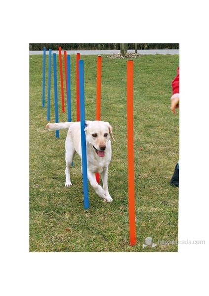 Köpek Agility Eğitim Direkleri,12ad,115×ø3cm.