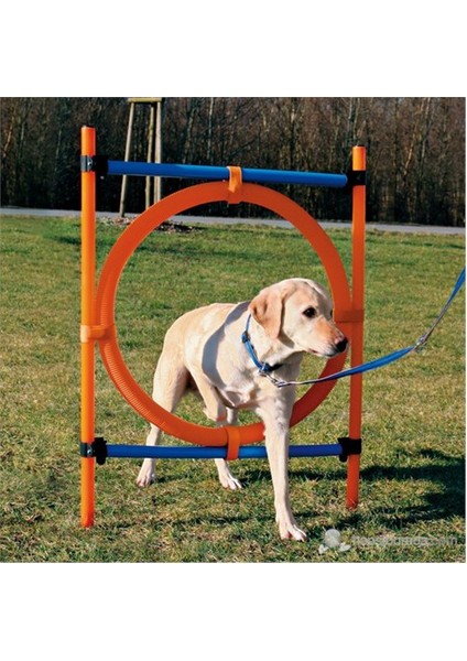 Agility Köpek Eğitim Çemberi 115 Cm 65 Cm Çapında