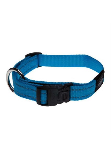 Köpek Boyun Tasması Turkuaz 16 Mm-M
