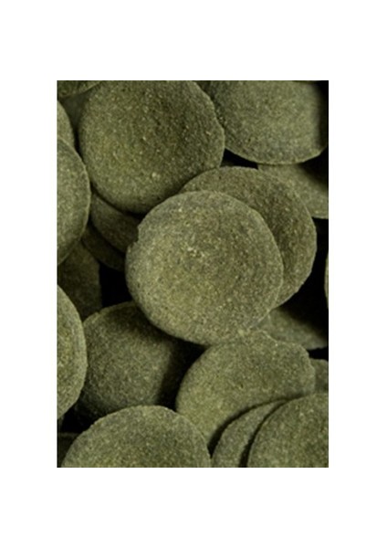 Ocean Nutrition Algae Wafers 75Gr. Otçul Balık Yemi