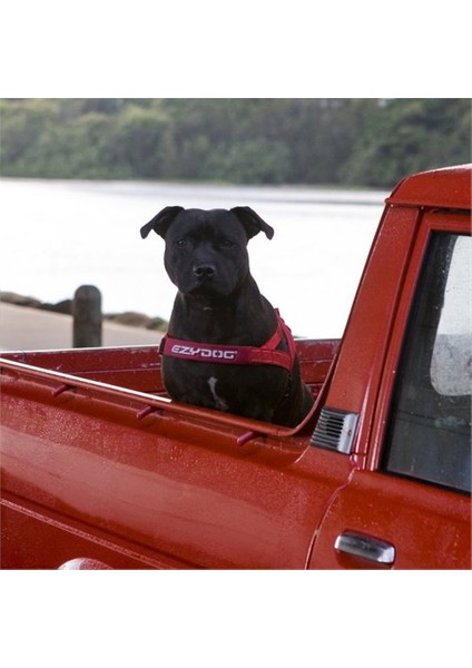 Quick Fit Mavi Göğüs Tasması L fiyatları