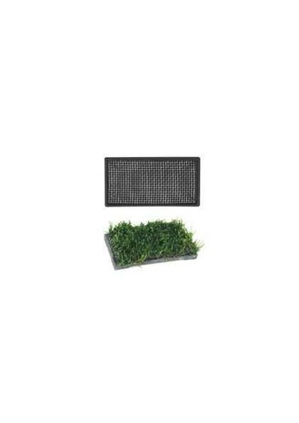 Seramik Bitki Tabanı 5x10cm Dikdörtgen