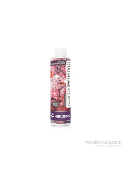 Reeflowers   Coralline Algae Accelerator - Quick Response 500 ml