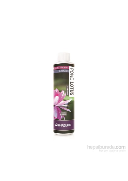 Pond Lotus - All Inclusive 1000 Ml