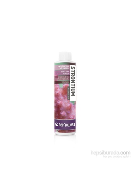 Strontium - Body Builder 500 ml